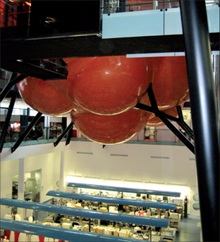 The Centre of the Cell based within Barts and The London Schools of Medicine and Dentistry, 2007.