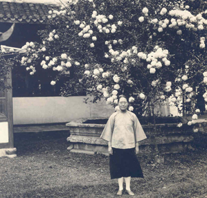 Pao Swen Tseng and a hydrangea tree outside the Botany Laboratory, I Fang School, Changsha, China, May 1926.