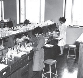 Westfield College science students at work, 1962.